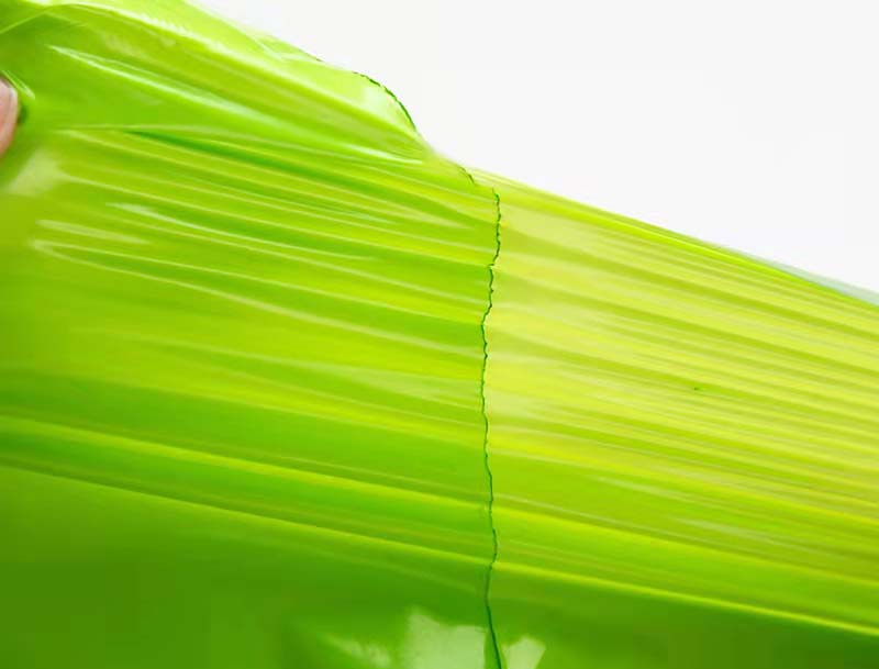 自流井果绿色快递袋-06